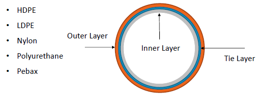 A diagram of the inner and outer layers of an object.